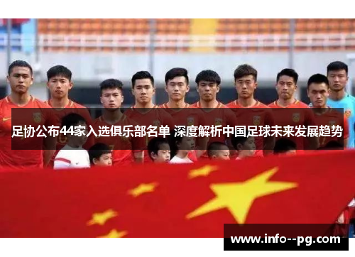 足协公布44家入选俱乐部名单 深度解析中国足球未来发展趋势