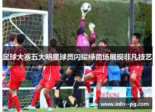 足球大赛五大明星球员闪耀绿茵场展现非凡技艺