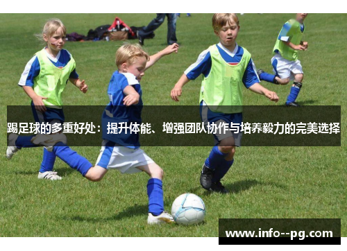踢足球的多重好处：提升体能、增强团队协作与培养毅力的完美选择