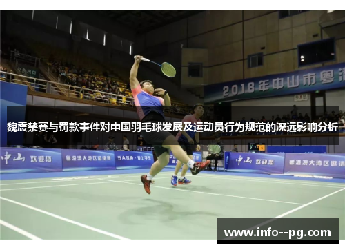 魏震禁赛与罚款事件对中国羽毛球发展及运动员行为规范的深远影响分析