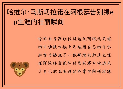 哈维尔·马斯切拉诺在阿根廷告别绿茵生涯的壮丽瞬间